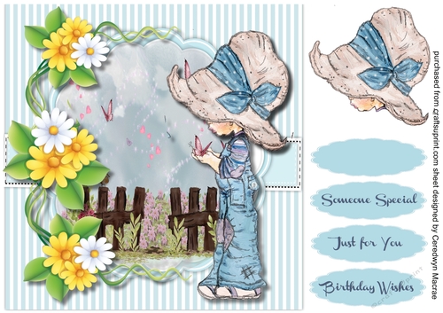 Catching The Butterflys 