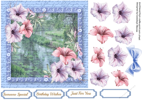  Wqter Coloured Petunias in a pearl frame 