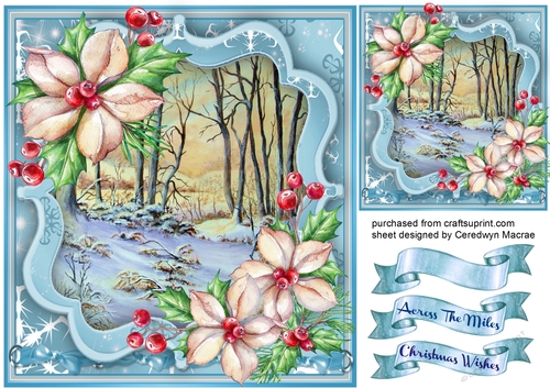 Christmas Roses and Woods in Snow