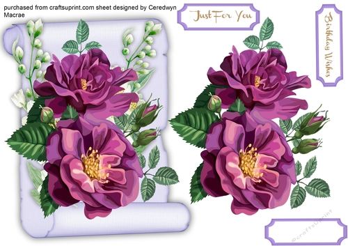 Lovely  Scroll and Mauve rtoses 