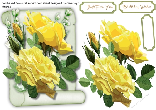 Lovely  Scroll and Yellow  rtoses 