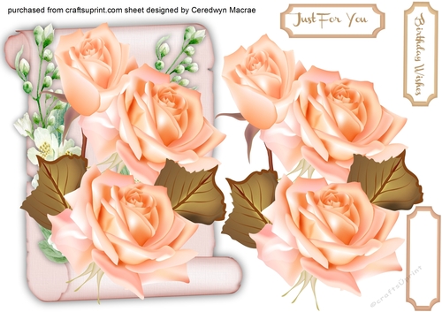 Lovely  Scroll and Apricot  rtoses 