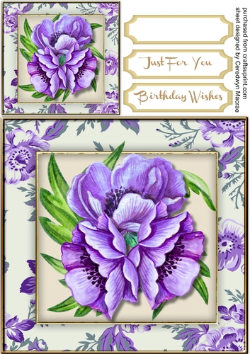 Stunning Lilac Anemones in a Flower Frame  2