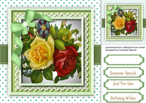 Beautiful Roses in a Lace Frame 