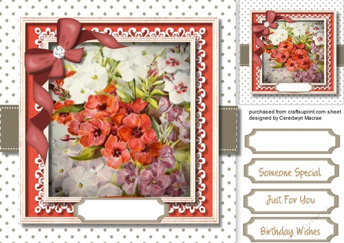 Beautiful  Red  Flowers  in a Lace Frame 