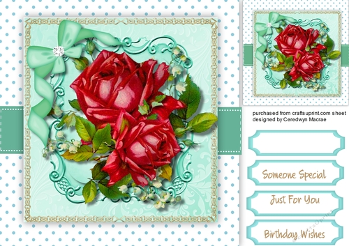 Beautiful Roses on a Aqua Mat 