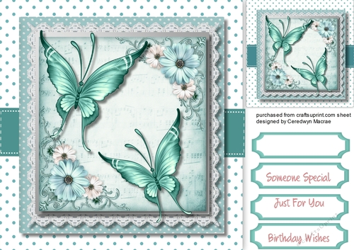 Aqua Butterflys and Flowers 