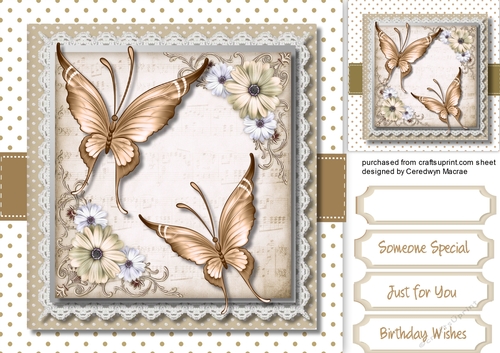 Buff Butterflys and Flowers 