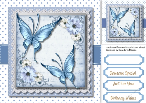 Blue  Butterflys and Flowers 