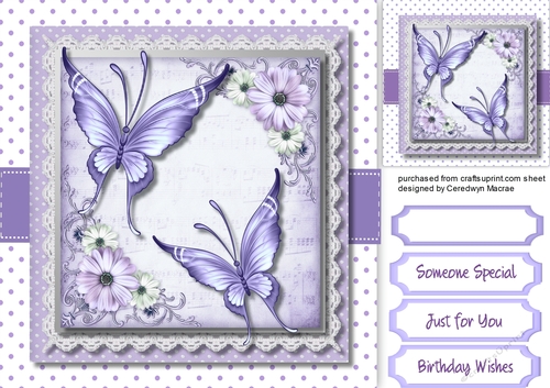 Lilac  Butterflys and Flowers 