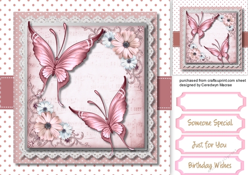 Pink Butterflys and Flowers 