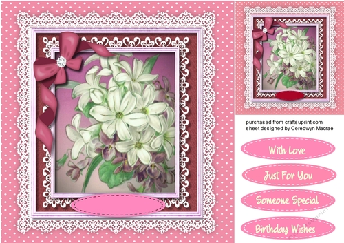 Beautiful Flowers in a lace Frame 