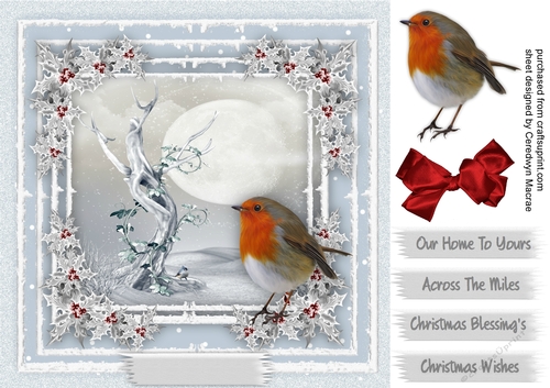Robin in the Winter Snow 