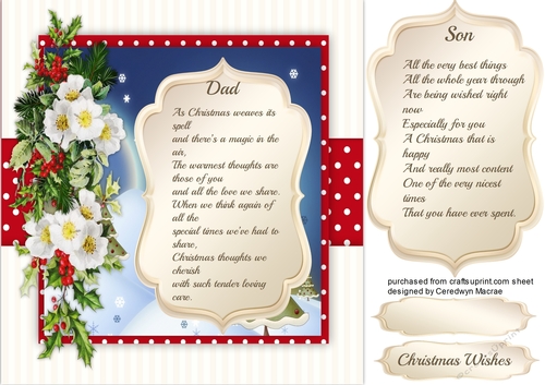 Christmas Wishes Dad & Son 