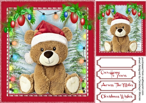 Adorable Teddy with Christmas Lights 