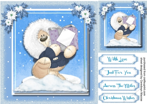 Beautiful Teddy Blue