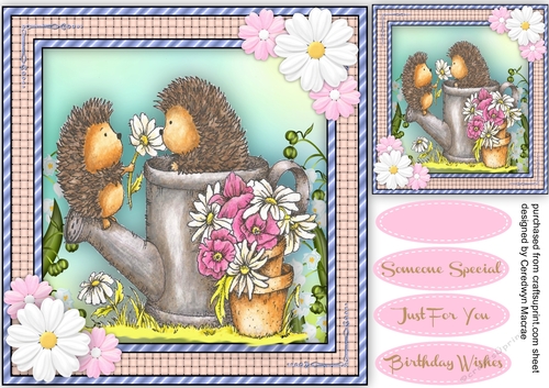 Hedgehog Popsy Daisy 