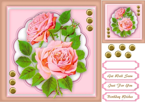 Pink Roses on a Scalloped Mat 