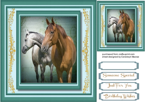 Beautiful Horses in a Aqua Frame 