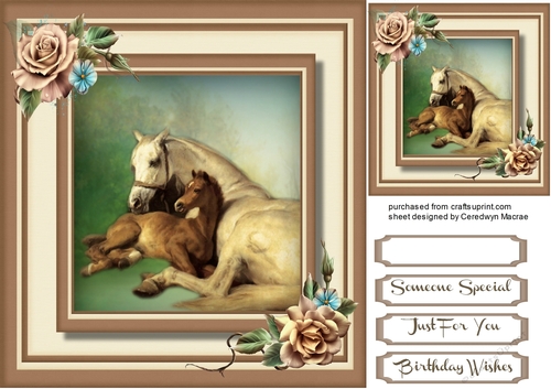 Beautiful Mother and Foal 