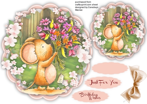 Little Mouse, Flowers for Someone Special