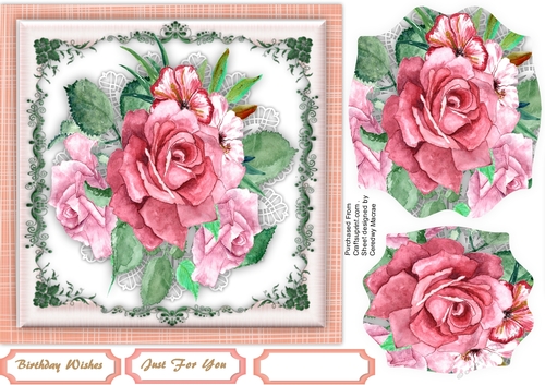 Beautiful Roses and Lace  2, 