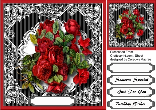 Beautiful Red Drama Rose 