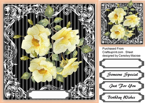 Beautiful Yellow Drama Rose 