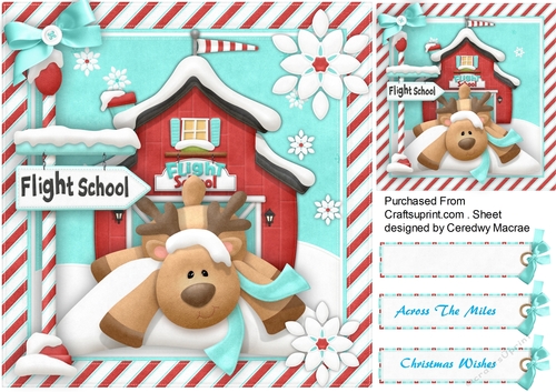Rindeer Flight School