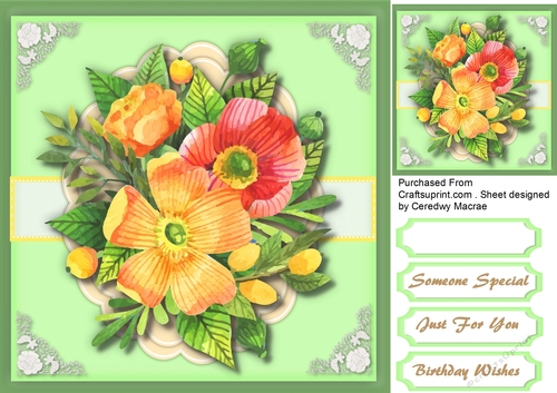 Lovely Summer Flowers 