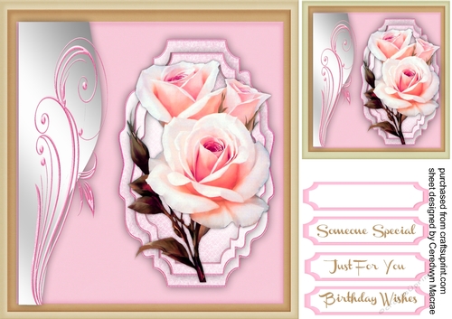 Beautiful Pale Pink Roses 