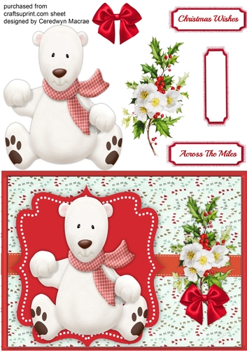 Lovely Pola Bear and Christmas Roses