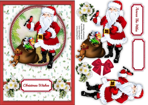 Santa and The Christmas Bird