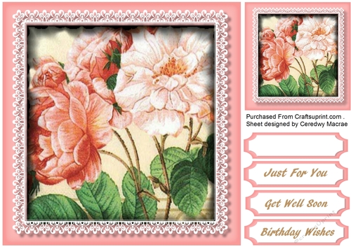 Stunning Pink roses in a lace Mat 