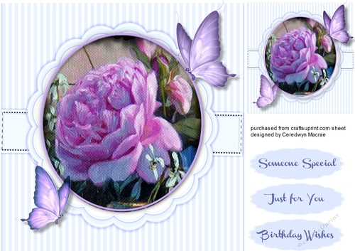 Beautiful Lilac Rose and Butterflys 