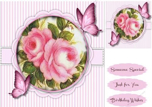 Beautiful Pink Rose and Butterflys 
