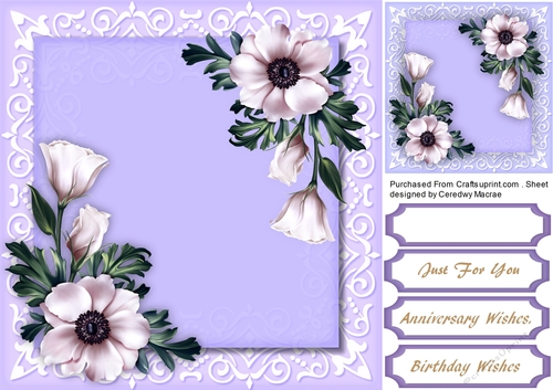 Beautiful Lilac Winter Flowers 