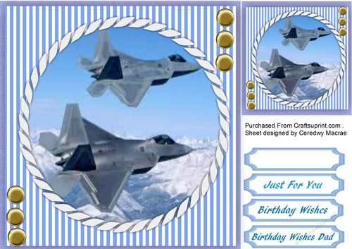 Fighter Plane in the Sky 