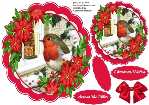Beautiful Red Robin with Red Poinsettias 