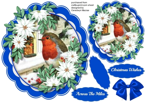 Beautiful Red Robin with White Poinsettias 