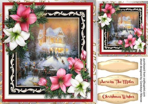 Beautiful Christmas Amaryllis and scene  