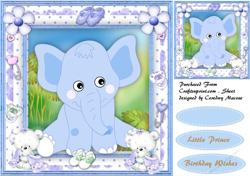 My Little Prince ( Blue )