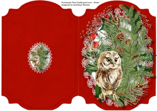 Print and Cut ,Christmas Owl 
