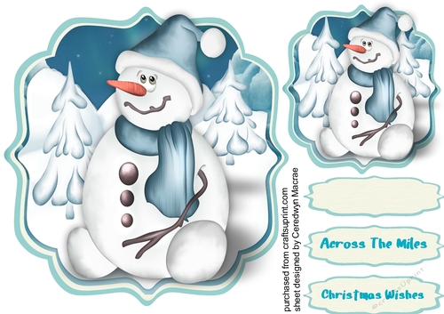 Snowman in the Snow  .