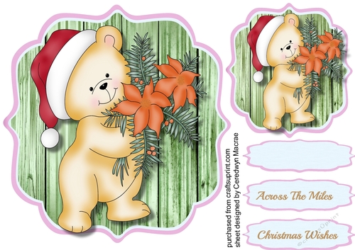Cute Poinsettia Bear