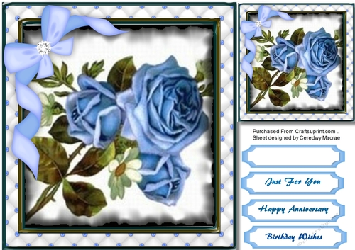 Beautiful Blue Roses 
