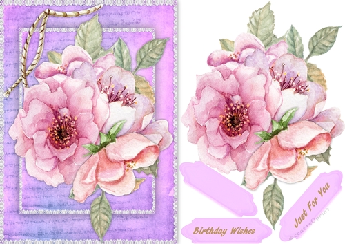A5 Stunning lilac Roses on lace 
