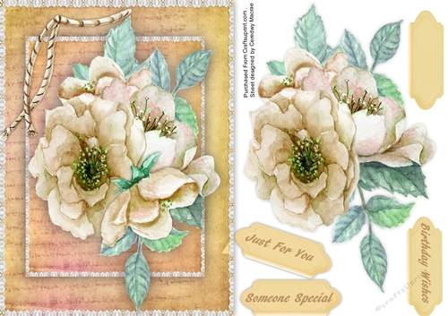 A5 Stunning Cream Roses on lace 