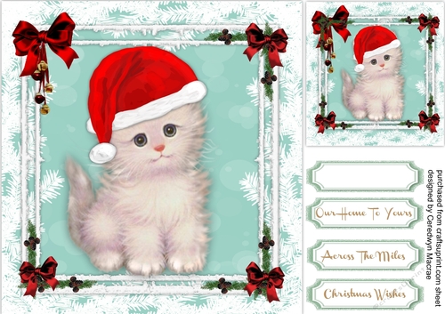 Fluffy Kittys Christmas Hat 