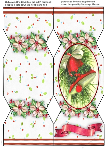 D.L Christmas Cracker Card